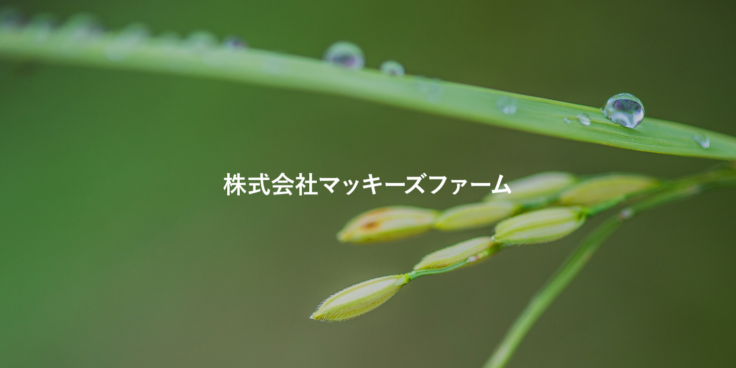 令和6年産のお米すべて完売しました。